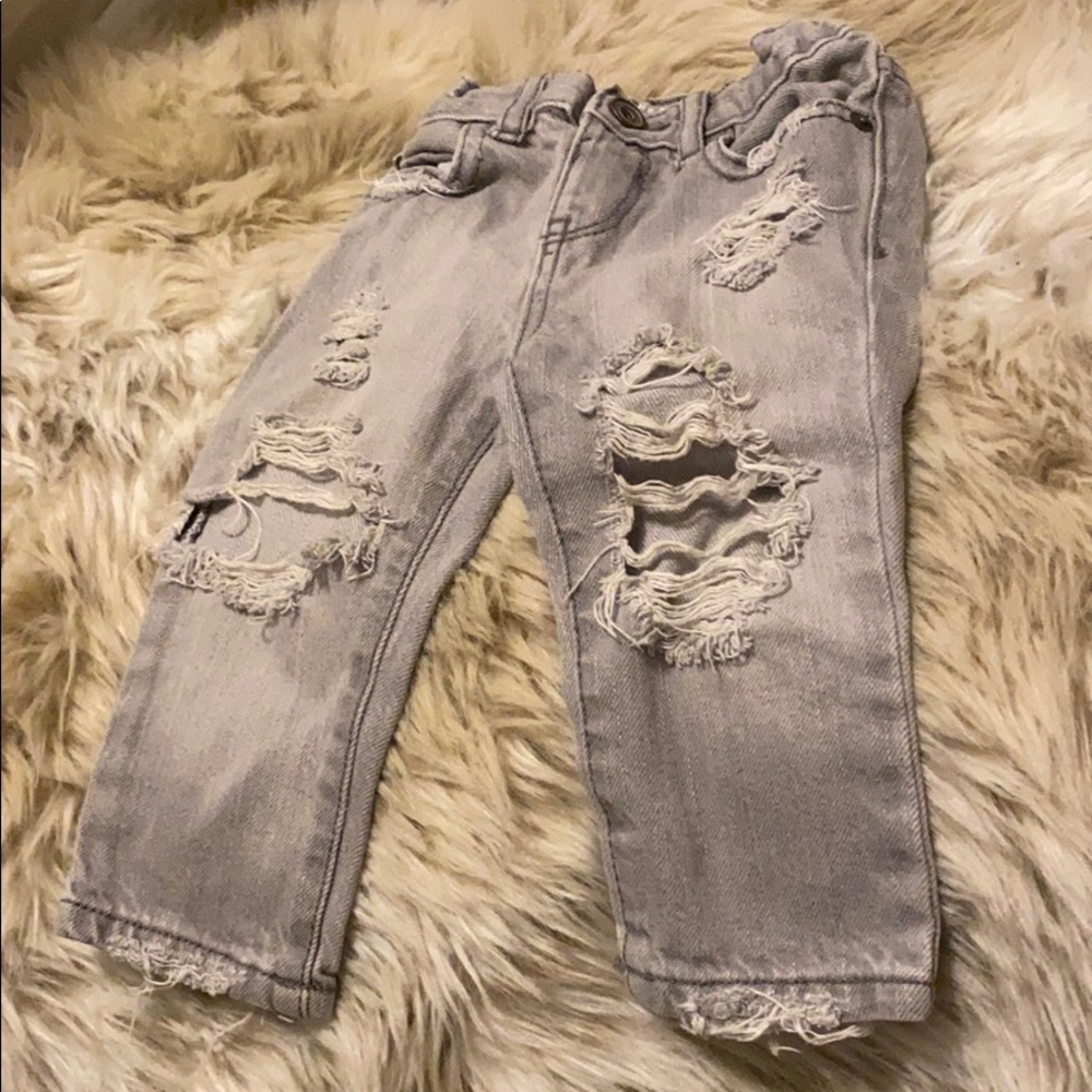 Dudley Denim Grey Distressed Skinnies
